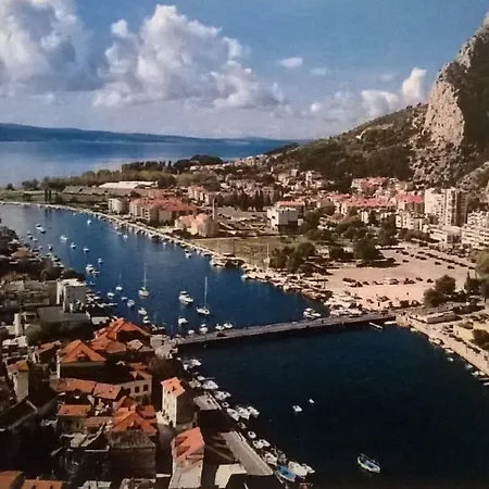Renata Omiš