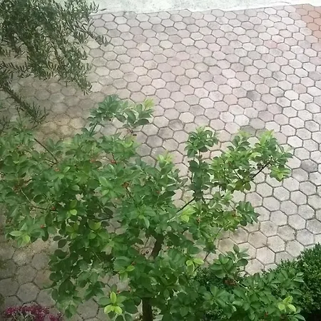 Apartment Renata Omis