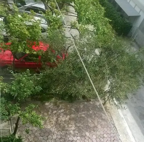 Renata Apartamento *